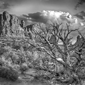 Arches National Park Arches National Park