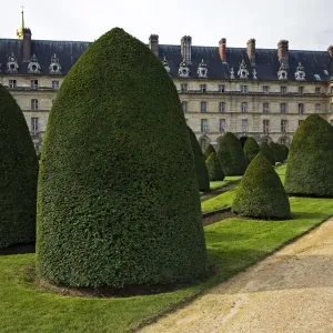 architecture, building, bushes, day, europe, france, landscaping, les invalides, nobody architecture, building, bushes, day, europe, france, landscaping, les invalides, nobody