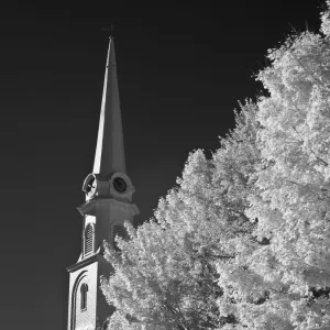 Images Dated 2007 October: 16 Oct 2007