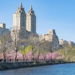 Central Park West Historic District Print with Cherry Blossoms Central Park West Historic District Print with Cherry Blossoms