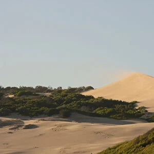 arid, beach, color image, colour image, copy space, day, desert, dunes, eastern cape
