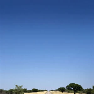 Arid Climate, Clear Sky, Generic Location, Grass, Horizon Over Land, Infinity, Landscape