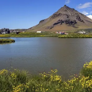 Arnarstapi municipality, Stapafell mountain and Snaefelljoekull glacier at the back Arnarstapi municipality, Stapafell mountain and Snaefelljoekull glacier at the back