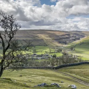 Arncliffe Tree