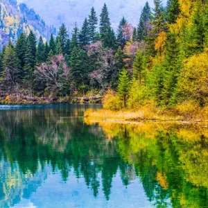 Arrow Bamboo Lake Print, Jiuzhai Valley National Park Arrow Bamboo Lake Print, Jiuzhai Valley National Park