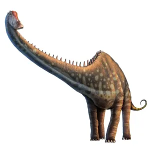 Diplodocus Print: A 35-Metre Long Jurassic Dinosaur