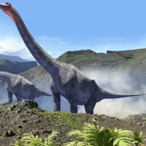 Artwork of a pair of brachiosaurus