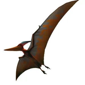 Pteranodon sternbergi Print