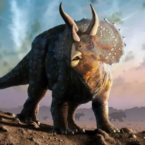 Triceratops horridus Print