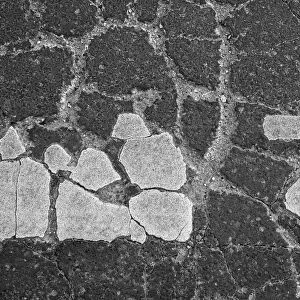 Asphalt cracked by frost and cold, potholes