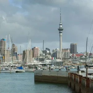 Auckland Harbour Auckland Harbour