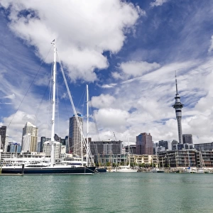 Auckland harbour and skyline, New Zealand, Oceania