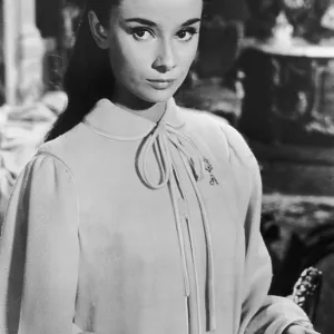 Audrey Hepburn Audrey Hepburn