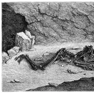 Aurignacian Skeleton "The Fossil Man of Menton"at Balzi Rossi Caves, Liguria, Italy - 43, 000 to 37, 000 Years Ago