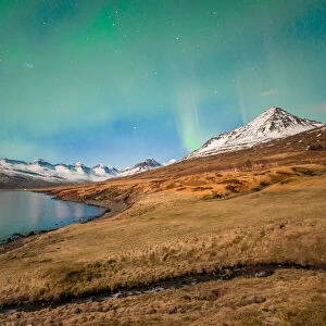 Aurora borealis over the beautiful mountains fjord of Iceland