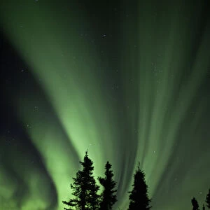 Aurora borealis, Fairbanks, Alaska