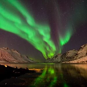 aurora borealis night in Ersfjordbotn