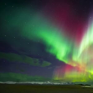 Aurora Borealis or Northern Lights, Iceland