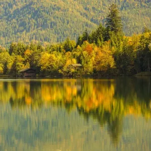 Autumn at Barmsee in Kruen, Upper Bavaria, Bavaria, Germany Autumn at Barmsee in Kruen, Upper Bavaria, Bavaria, Germany