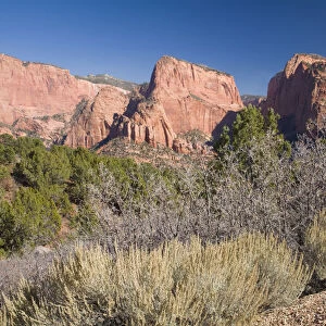 autumn, beauty in nature, clear sky, color image, day, grass, horizontal, kolob canyon