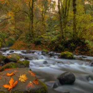 Autumn in Bridal Veil Falls State Park Oregon