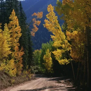 Autumn, Colorado, Day, Nature, Nobody, Path, Peacefulness, Quiet, Season, Seasonal Autumn, Colorado, Day, Nature, Nobody, Path, Peacefulness, Quiet, Season, Seasonal