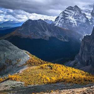 Autumn colors In the Rockies, Banff National Park, Alberta, Canada