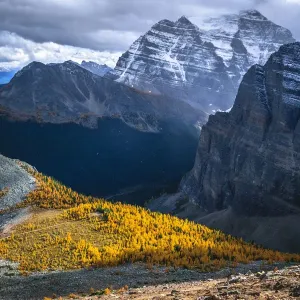 Autumn Colors in the Rockies Print Autumn Colors in the Rockies Print