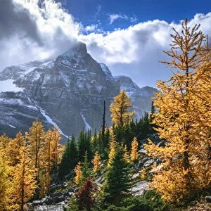 Autumn Colors In Rocky Mountains, Haddo Peak, Banff National Park, Alberta, Canada