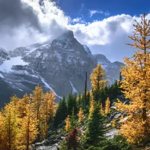 Autumn Colors Print of Rocky Mountains with Haddo Peak Autumn Colors Print of Rocky Mountains with Haddo Peak