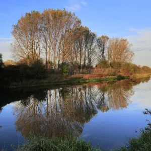 Autumn colours, River Welland, Peakirk village Autumn colours, River Welland, Peakirk village