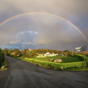 Autumn Rainbow