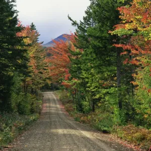 Autumn Print: Berlin Bog Dam Road New Hampshire USA Autumn Print: Berlin Bog Dam Road New Hampshire USA