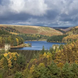 Autumn scenery in the Upper Derwent valley, Derbyshire