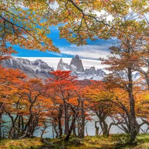 Autumn view at Lake Capri with Mount Fitzroy background Autumn view at Lake Capri with Mount Fitzroy background