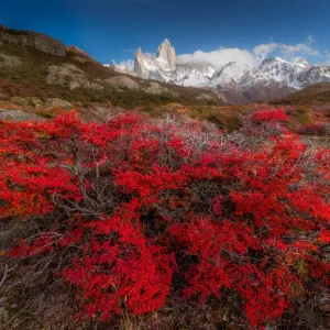 Autumn view of Patagonia with Mount Fitzroy background Autumn view of Patagonia with Mount Fitzroy background
