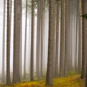 imageBROKER Collection: Lydie Gigerichova Landscapes
