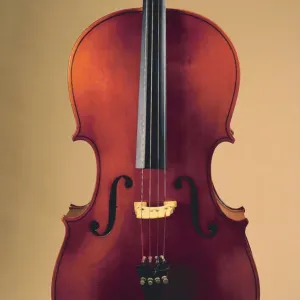 background, musical instrument, nobody, performing arts, still life, studio shot, violin