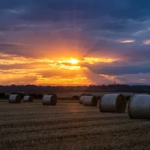Bales of straw at Newton under Roseberry, UK Bales of straw at Newton under Roseberry, UK