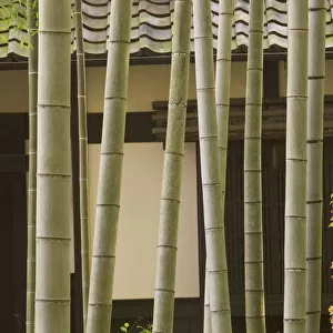Bamboo and House detail, Kyoto, Honshu, Japan