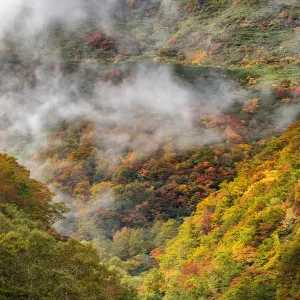 Bandai-Asahi National Park Misty Morning Bandai-Asahi National Park Misty Morning