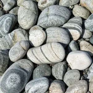 Banded Gneiss Print on Gravel Beach Banded Gneiss Print on Gravel Beach