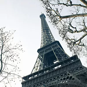 Bare trees and Eiffel Tower