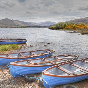 Barges, Cloonee Lakes, Cloonee Loughs, Beara Peninsula, County Kerry, Ireland, British Isles, Europe