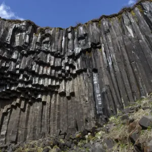 Basalt Column Print, Skaftafell National Park Basalt Column Print, Skaftafell National Park