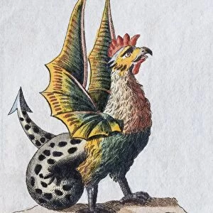 Basilisk, hand-colored copper engraving from childrens picture book by Friedrich Justin Bertuch