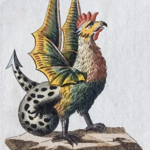 Hand-colored copper engraving of a basilisk print