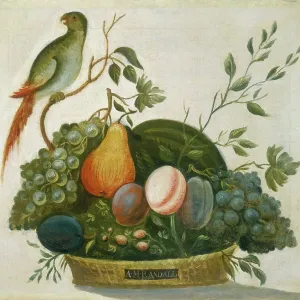 Basket Of Fruit With Parrot Basket Of Fruit With Parrot