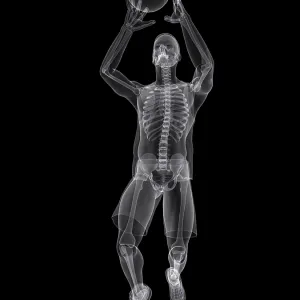 Basketball player, artwork Basketball player, artwork