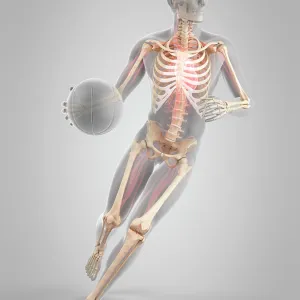 Basketball player, illustration Basketball player, illustration